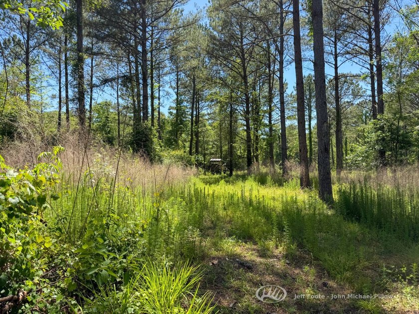 This 96+/--acre tract in Simpson County offers river frontage - photo 32