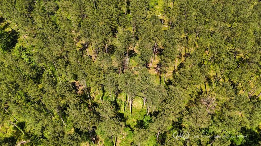 This 96+/--acre tract in Simpson County offers river frontage - photo 39