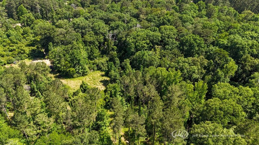 This 96+/--acre tract in Simpson County offers river frontage - photo 43