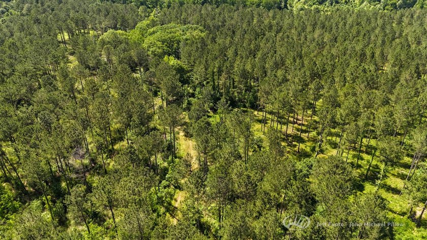 This 96+/--acre tract in Simpson County offers river frontage - photo 44