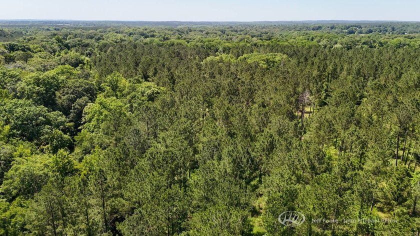 This 96+/--acre tract in Simpson County offers river frontage - photo 45