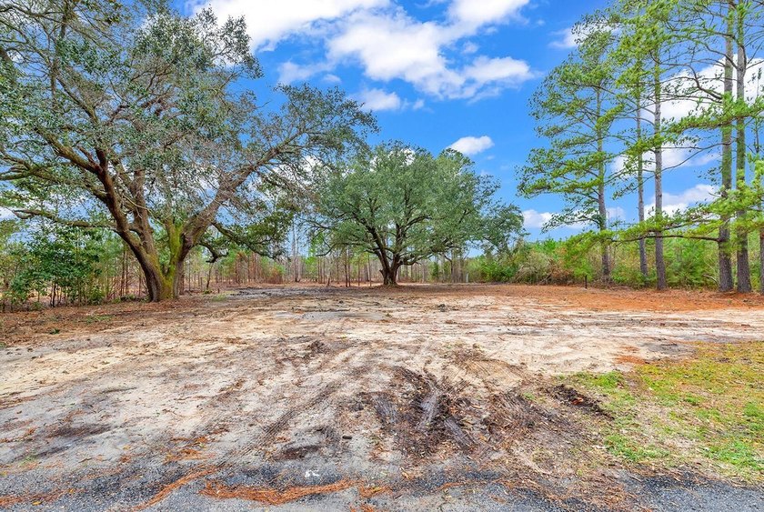 GREAT PROPERTY FOR A MINI FARM OR CAN BE DIVIDED UP IN TO 5 - 1 - photo 11