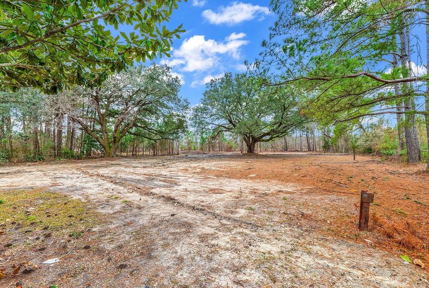 GREAT PROPERTY FOR A MINI FARM OR CAN BE DIVIDED UP IN TO 5 - 1 - photo 12