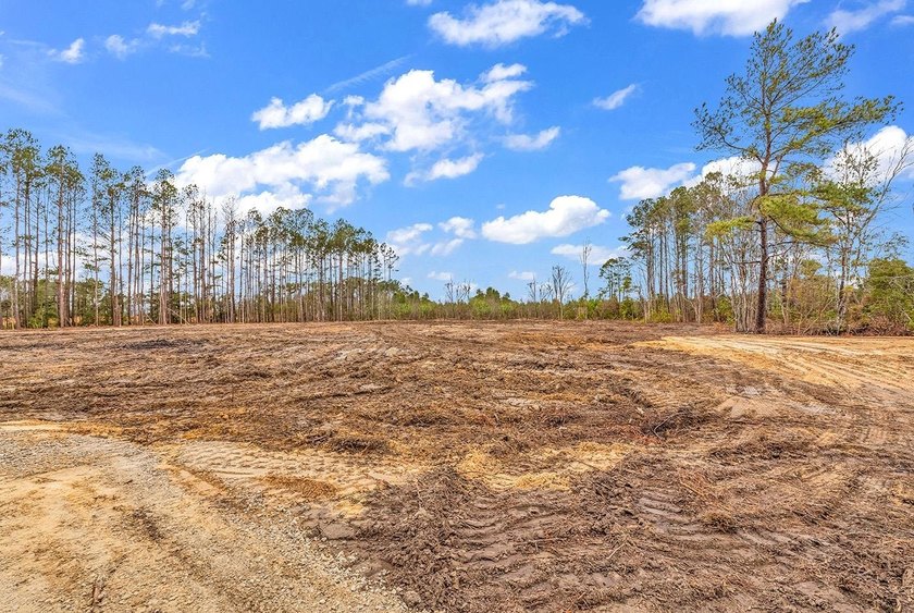 GREAT PROPERTY FOR A MINI FARM OR CAN BE DIVIDED UP IN TO 5 - 1 - photo 14