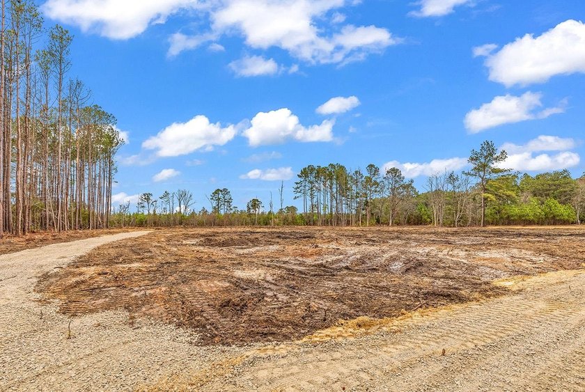 GREAT PROPERTY FOR A MINI FARM OR CAN BE DIVIDED UP IN TO 5 - 1 - photo 16