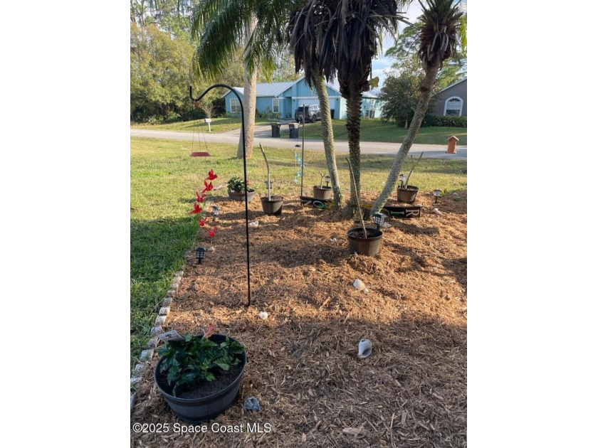 Don't miss out on this beautiful 3 bedroom, 2 bath home! Never - photo 3