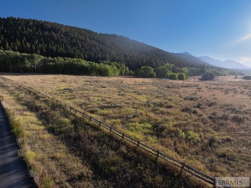 Own your own piece of paradise near pristine Henry's Lake. These - photo 8