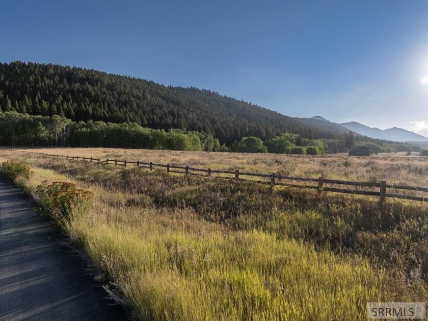 Own your own piece of paradise near pristine Henry's Lake. These - photo 8