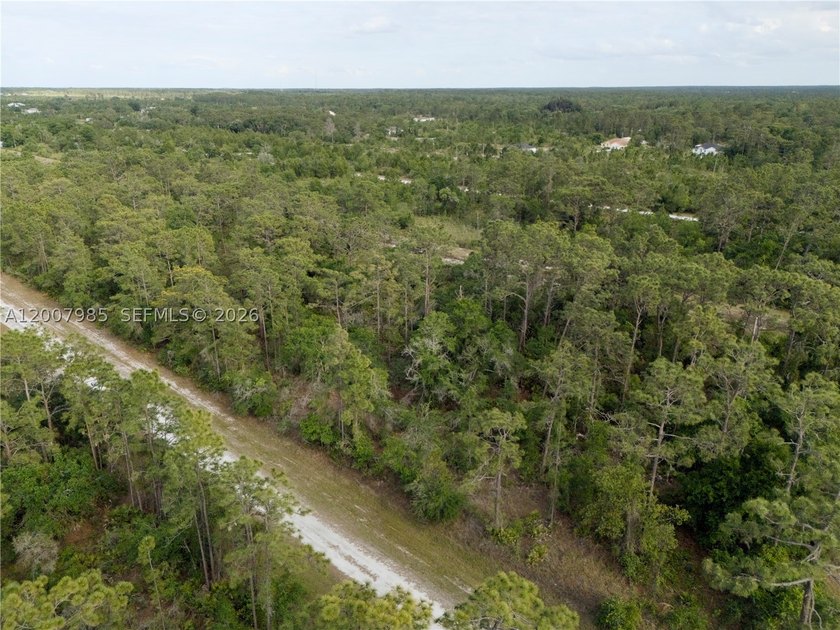 Build your dream home on this spacious 0.50-acre vacant lot - photo 12