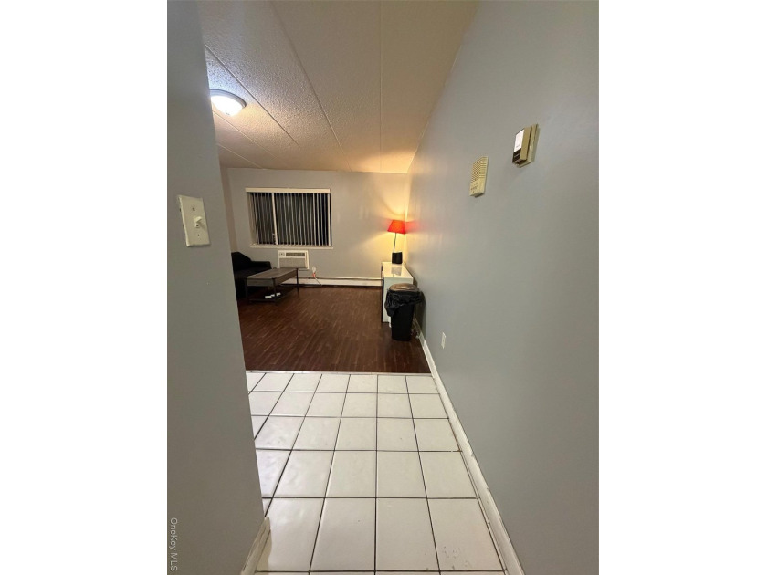 Welcome Home To This Beautiful 1 Bedroom Condo. This - photo 5