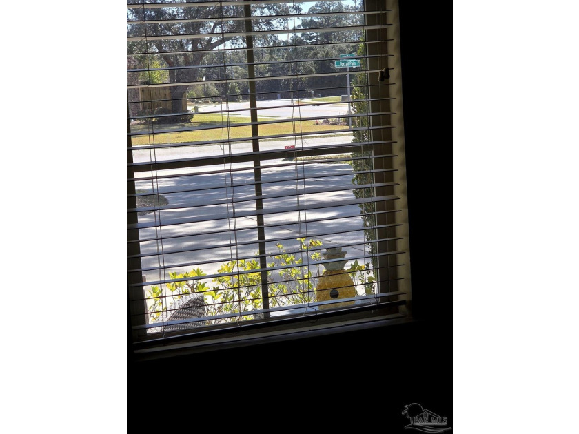 Immaculate 3-bed plus large office, 2 full baths &amp; one partial - photo 22