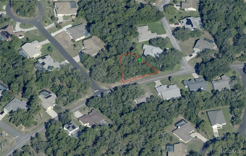Explore this exceptional 0.25-acre estate lot in the highly - photo 13