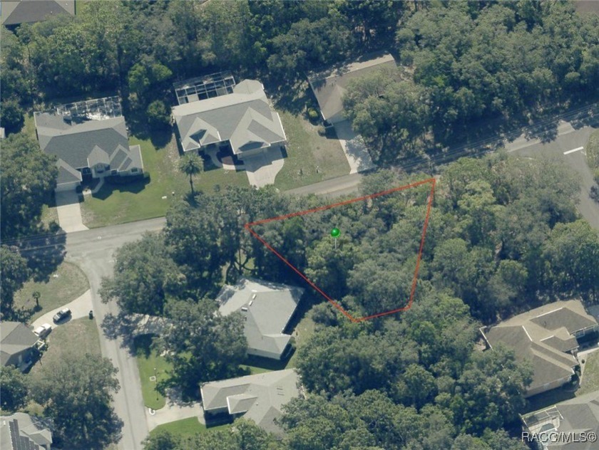 Explore this exceptional 0.25-acre estate lot in the highly - photo 15