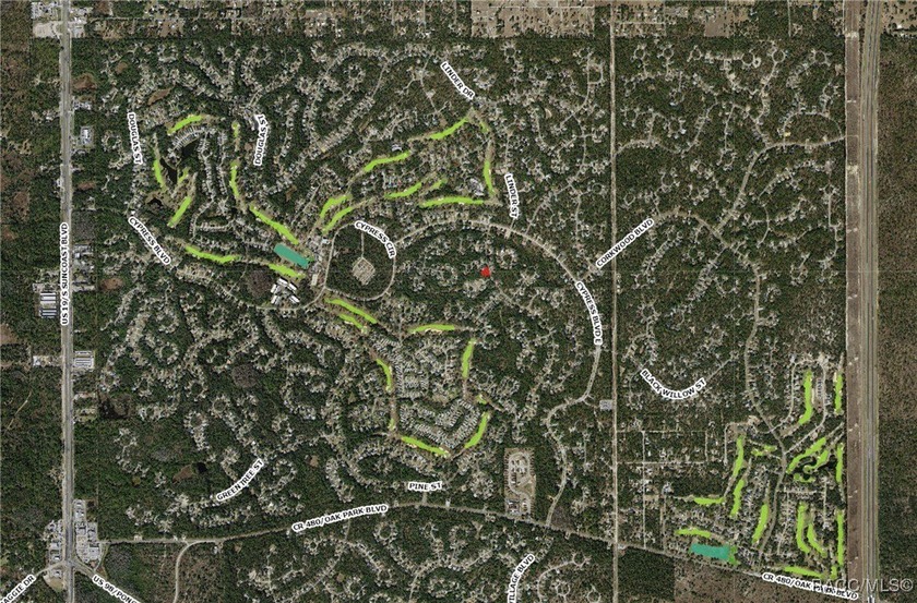 Explore this exceptional 0.25-acre estate lot in the highly - photo 16