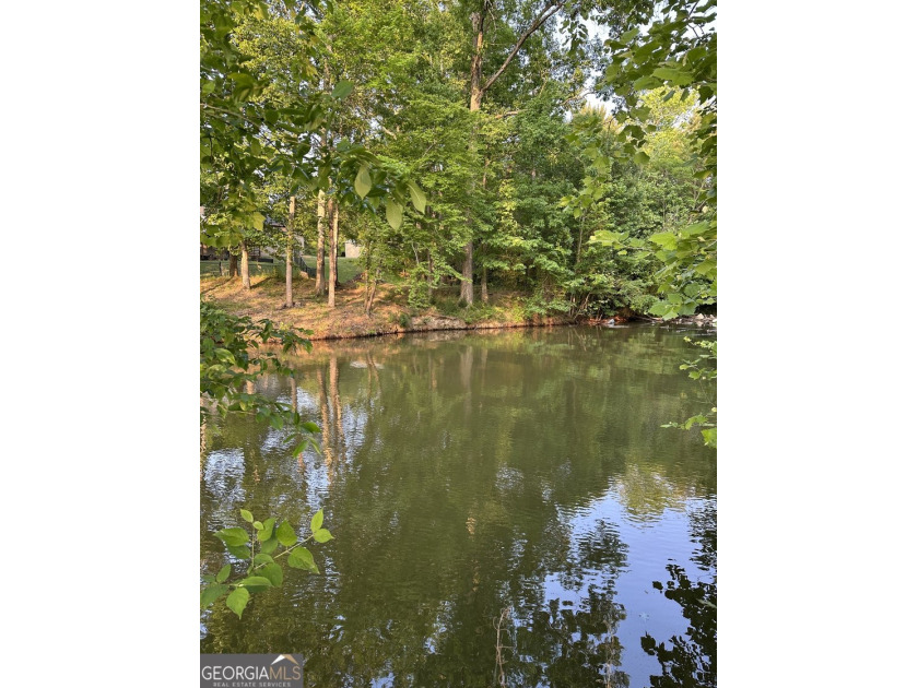 Build your dream getaway in Cherokee Falls near Weiss Lake! This - photo 11