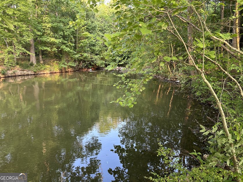 Build your dream getaway in Cherokee Falls near Weiss Lake! This - photo 12