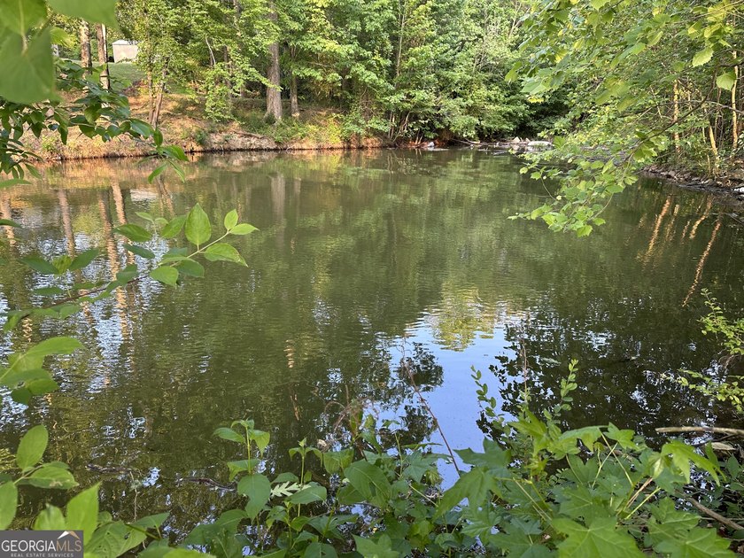 Build your dream getaway in Cherokee Falls near Weiss Lake! This - photo 13