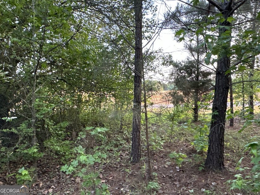 Build your dream getaway in Cherokee Falls near Weiss Lake! This - photo 14