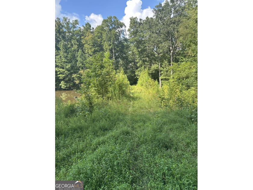44.33 acres with approximately 1,780 feet of road frontage - photo 11