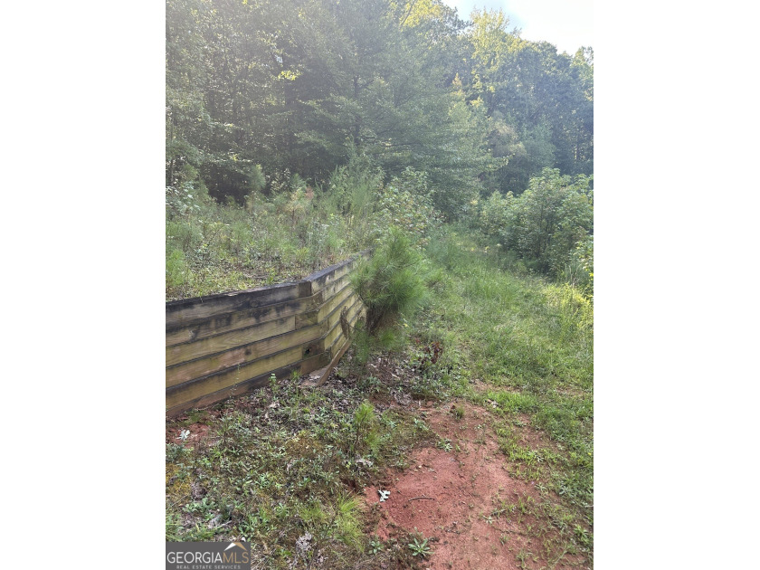 44.33 acres with approximately 1,780 feet of road frontage - photo 12