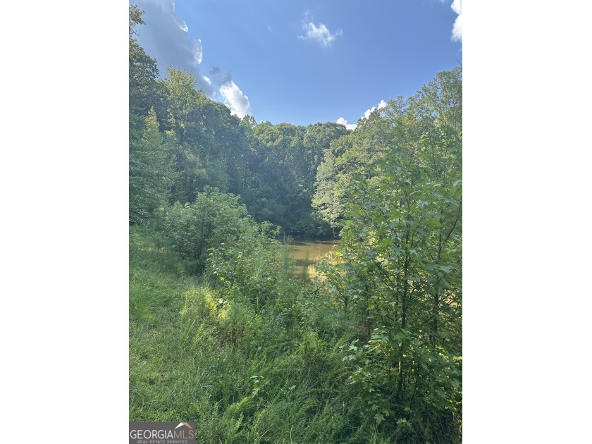 44.33 acres with approximately 1,780 feet of road frontage - photo 13