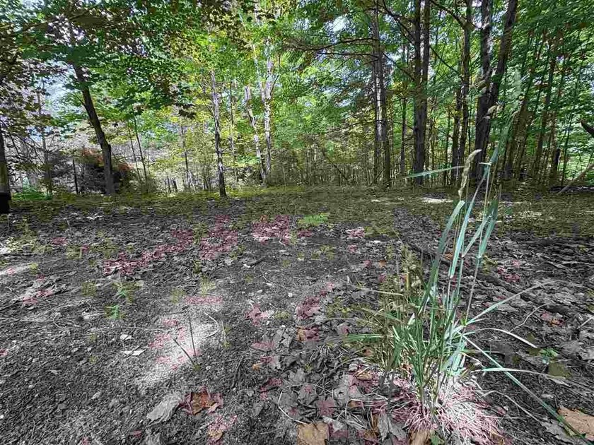 Escape to Northern Michigan with this beautiful 1+ acre parcel - photo 3