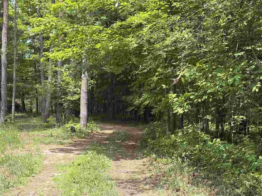 Escape to Northern Michigan with this beautiful 1+ acre parcel - photo 4