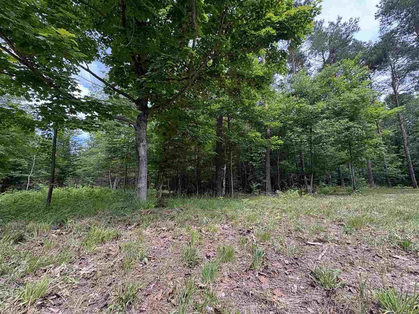 Escape to Northern Michigan with this beautiful 1+ acre parcel - photo 6