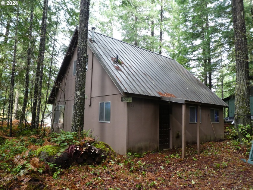 Cabin 23 Northwoods, Cougar, WA 98616, 4367752