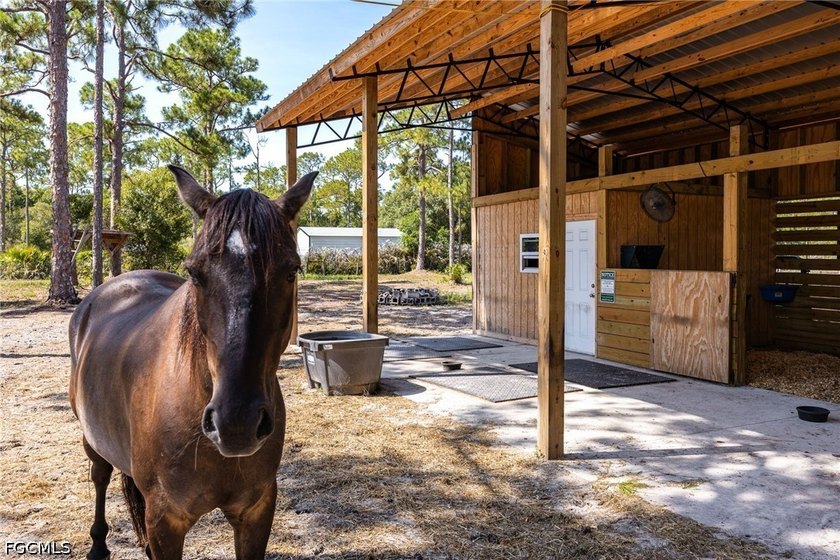 Escape to the peace and privacy of country living with this - photo 27