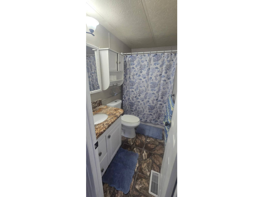 WELCOME TO YOUR NEW LARGE DOUBLEWIDE OVERLOOKING THE LAKE! THIS - photo 10