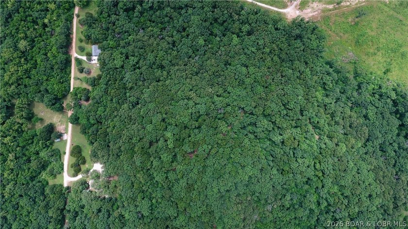 Beautiful 30 +/- acre property just minutes from Lake Ozark! The - photo 14