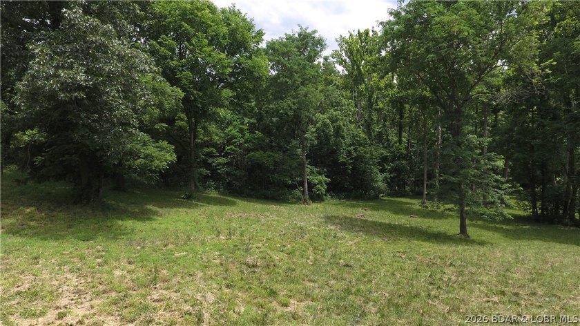Beautiful 30 +/- acre property just minutes from Lake Ozark! The - photo 15