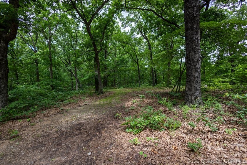 Beautiful 30 +/- acre property just minutes from Lake Ozark! The - photo 25