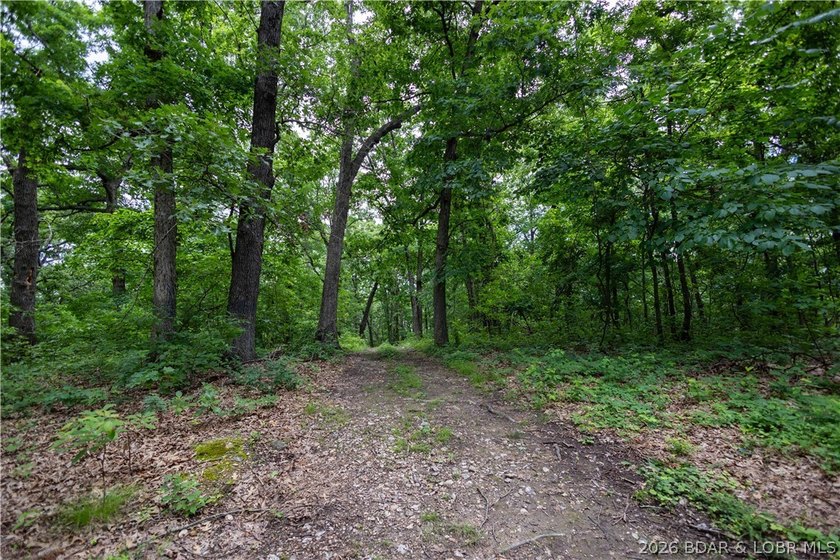 Beautiful 30 +/- acre property just minutes from Lake Ozark! The - photo 27