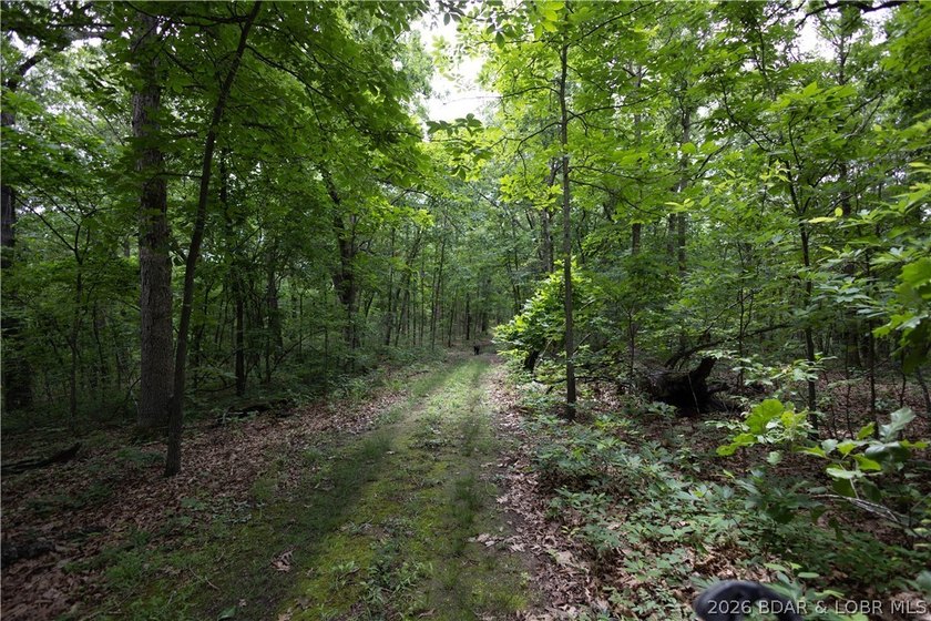 Beautiful 30 +/- acre property just minutes from Lake Ozark! The - photo 29