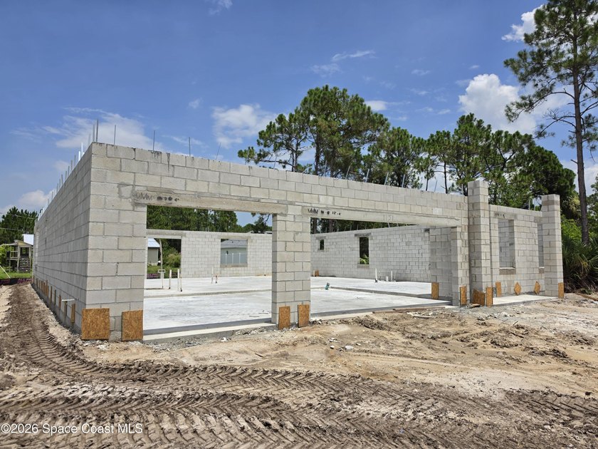 Welcome to your dream home! This stunning brand-new residence - photo 6