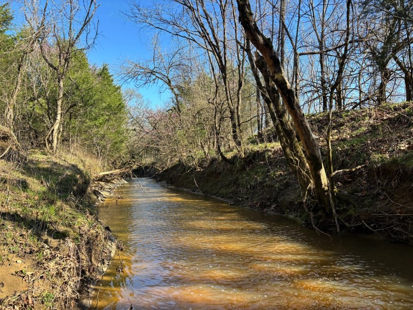 This 86.44 surveyed-acre property offers an excellent blend of - photo 2