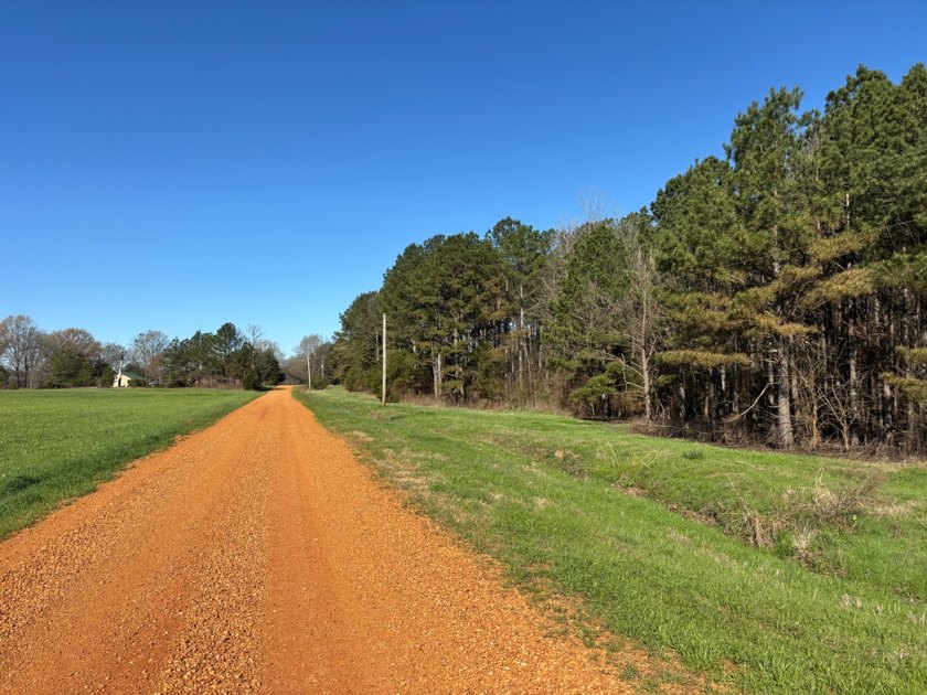 This 86.44 surveyed-acre property offers an excellent blend of - photo 3