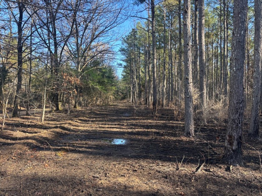 This 86.44 surveyed-acre property offers an excellent blend of - photo 7