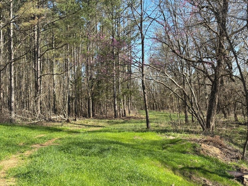 This 86.44 surveyed-acre property offers an excellent blend of - photo 10