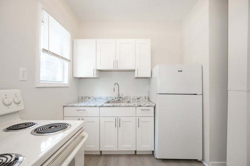 Welcome to 4915 Tillman Ave in Cleveland's Detroit-Shoreway! - photo 7