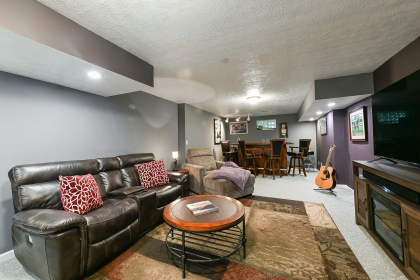 Lower level family room - photo 18