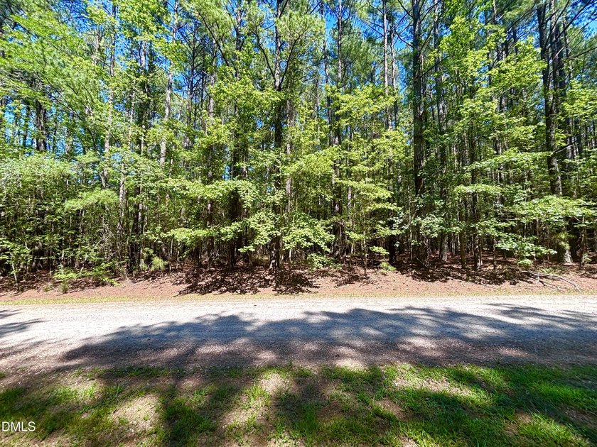 Embrace the quiet beauty of lake-country living with this - photo 3