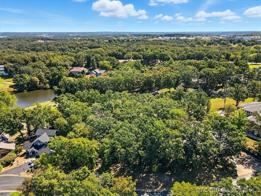 Fantastic opportunity to build your dream home on this - photo 2