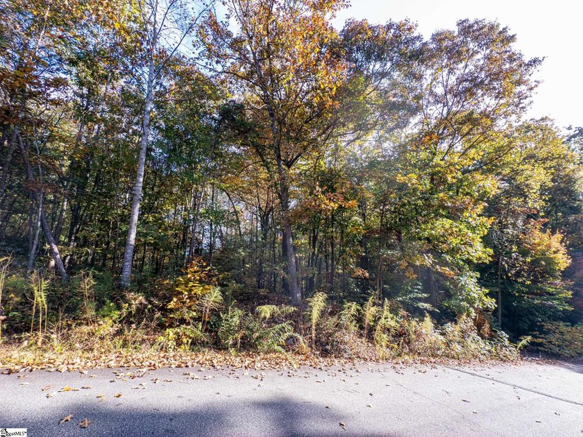 Create your dream lake lifestyle on this beautiful .92-acre lot - photo 15