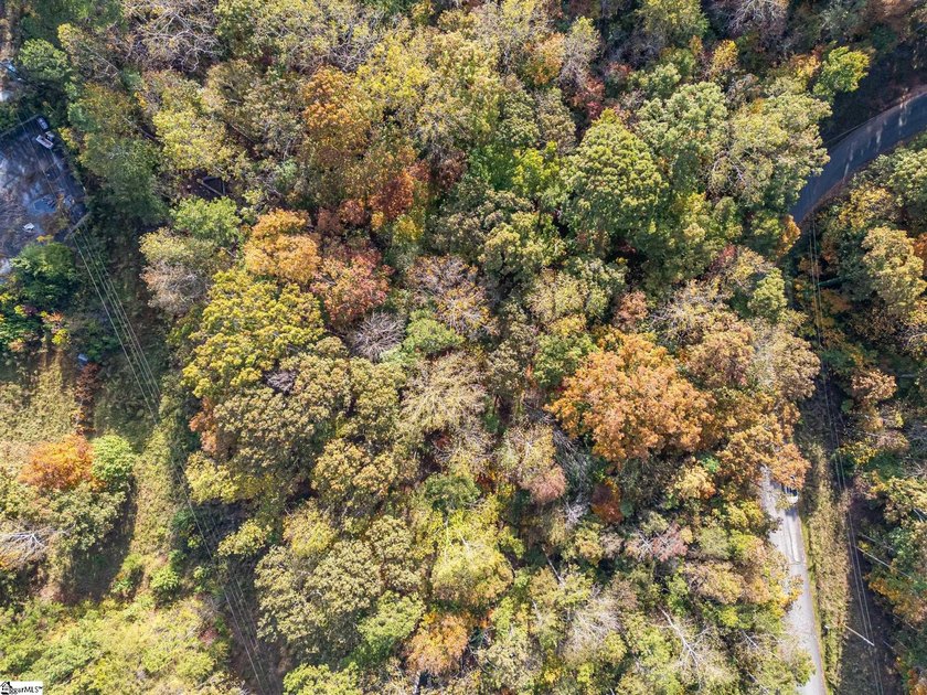 Create your dream lake lifestyle on this beautiful .92-acre lot - photo 17