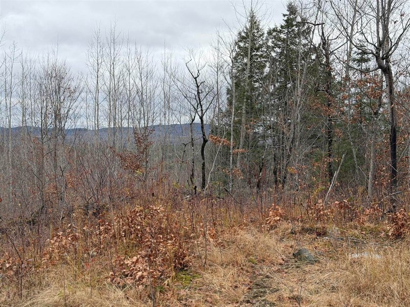 43 Acres of Pristine Maine Wilderness - Pond Road, Abbot, ME - photo 2