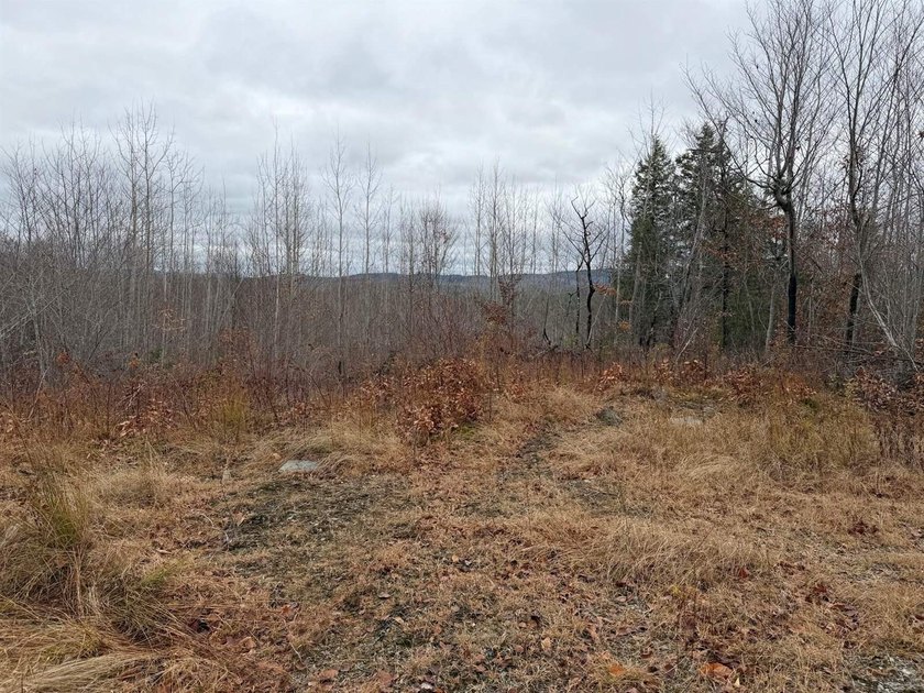 43 Acres of Pristine Maine Wilderness - Pond Road, Abbot, ME - photo 8