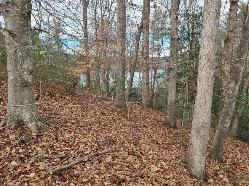 Lot 10 Lakepoint Drive, Wilkesboro, NC 28697, 1144063